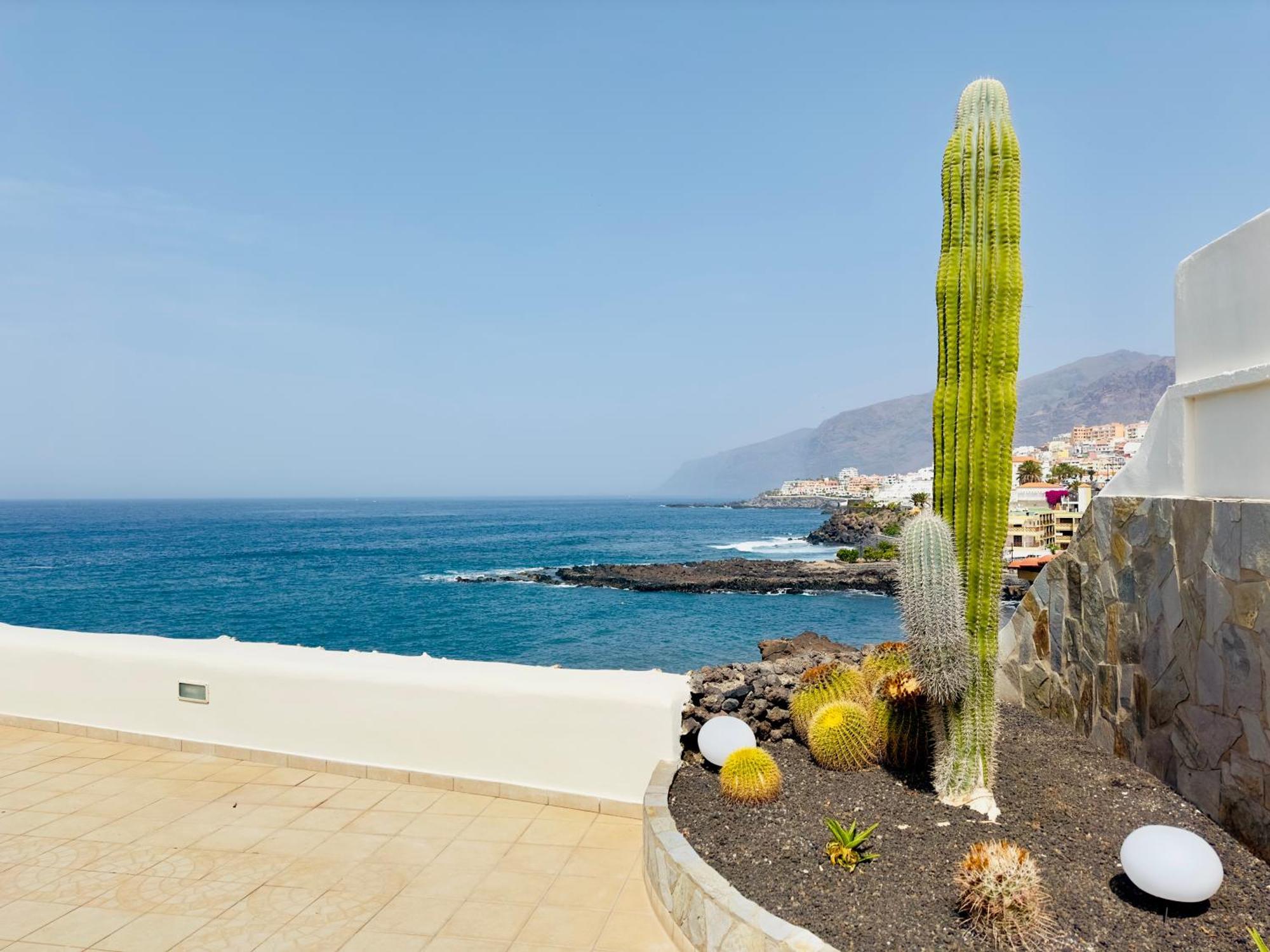 Beachfront Villa And Pool Puerto de Santiago  Dış mekan fotoğraf